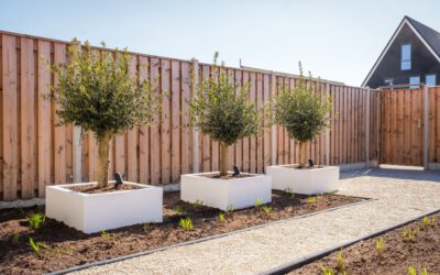 Achtertuin Genemuiden